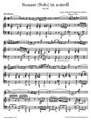 2 Sonatas: A min & D Major: Flute & Piano (Hortus Musicus) additional images 1 2