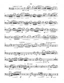 Bassoon Concertino & Piano (Emerson) additional images 2 2
