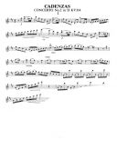 Cadenzas To Mozarts Flute Concertos (Emerson) additional images 1 3