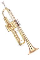Yamaha YTR-4335GII Trumpet additional images 1 1