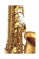 Yamaha YAS-875EX Custom Alto Saxophone additional images 2 1