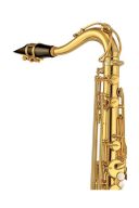 Yamaha YTS-82Z Custom Tenor Saxophone additional images 1 2
