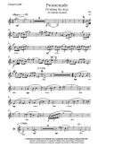 Promenade (Walking The Dog): From Shall We Dance: Clarinet (Emerson) additional images 1 2