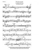 Promenade (Walking The Dog): From Shall We Dance: Bassoon (Arr Denwood) Emerson additional images 1 2
