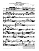 Cadenzas: Concerto: D Major: Violin (Schott) additional images 1 2