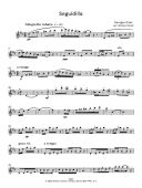Bizet Notebook: Fantasia On Carmen: Flute Solo (Clifton) additional images 1 3