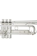 Yamaha YTR-5335GSII Trumpet additional images 1 2