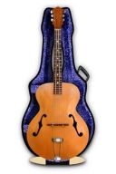 3D Card - Archtop Guitar additional images 1 2