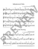 The Irish Flute Book: Flute Book & Audio Online additional images 1 2