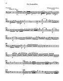Test Pieces For Orchestral Auditions Double Bass  (Orchestra Probespiel) additional images 1 2