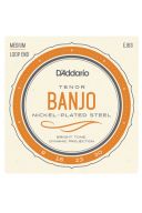 D'Addario EJ63 4 String Tenor Banjo Loop End Set Medium 9-30 additional images 1 1
