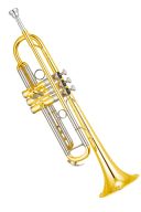 Yamaha YTR-8335RG04 Xeno Trumpet additional images 1 1