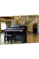 Casio Grand Hybrid Piano GP-310BK additional images 3 2