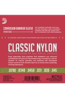 D'Addario Classical Guitar Classic Nylon Normal Tension 1/2 Size additional images 1 2