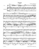 Sonata Op.24 (Spring Sonata) Violin & Piano (Barenreiter) additional images 1 2