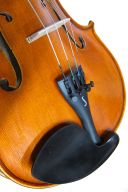 Stentor XXV Violin Outfit additional images 2 1