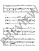 Violinissimo Vienna Forever: Waltzes, Polkas And Marches By Straus For Violin And Piano additional images 2 1