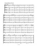 Speckert: Fiddle Tunes: Irish Music For Strings: Quartet additional images 1 3
