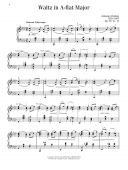 The Classical Piano Sheet Music Series: Intermediate Romantic Era Favorites additional images 2 1