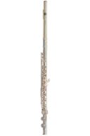 Trevor James 10XEP Solid Silver Lip Plate Flute additional images 1 1