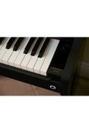 Casio Celviano AP750 Digital Piano: Black additional images 3 1