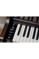 Casio Celviano AP550 Digital Piano: Rosewood additional images 4 3