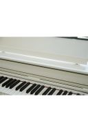 Casio Celviano APS450 Digital Piano: White additional images 5 1