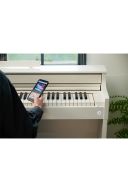 Casio Celviano APS450 Digital Piano: White additional images 4 1