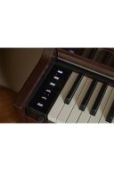 Casio Celviano APS450 Digital Piano: Rosewood additional images 4 3