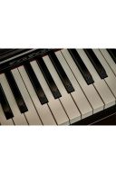 Casio Celviano APS450 Digital Piano: Rosewood additional images 5 1