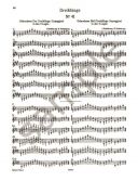 Virtuoso Pianist (Ger. Preface) Piano Studies (Peters) additional images 2 3