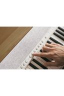 Casio CT-S1 76-Key Casiotone Keyboard: White additional images 2 1