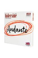 Hidersine Andante  Violin String Set - Various additional images 1 1