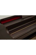 Casio Celviano AP-300 Digital Piano: Rosewood additional images 3 2