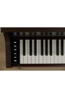 Casio Celviano AP-300 Digital Piano: Rosewood additional images 3 3