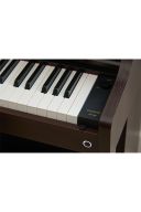 Casio Celviano AP-300 Digital Piano: Rosewood additional images 4 1