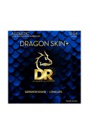 DR Acoustic Guitar Authentic Phosphor Bronze  Light 12-54 additional images 1 1
