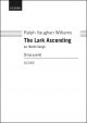 Vaughan Williams: The Lark Ascending Vaughan Williams's romance for solo violin   (OUP DIGITAL)