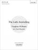 Vaughan Williams: Lark Ascending: Violin & Mixed Choir (OUP) Digital Edition