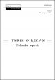 O'Regan: Columba aspexit for SSA and piano ad lib.