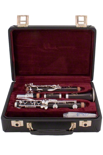 Buffet E13 R13 Clarinet Case