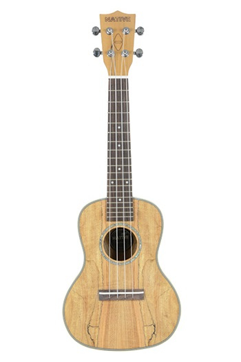 Native Spalted Maple Concert Ukulele