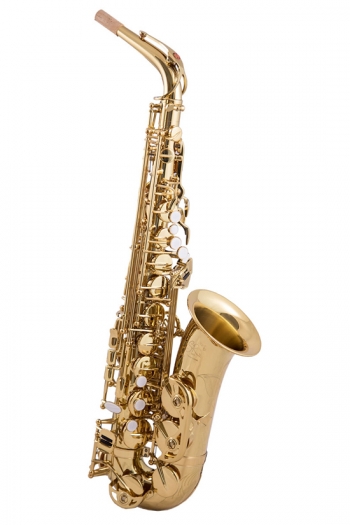 Trevor James Evo Alto Saxophone