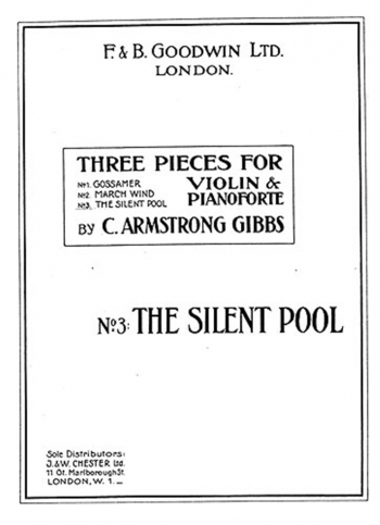 The Silent Pool Violin & Piano