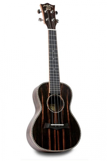 Snail E498 Ebony Concert Ukulele: Includes Gig Bag