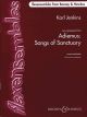 Jenkins: Adiemus: Songs Of Sanctuary: Flexible Ensemble: Score  & Parts