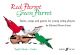 Red Parrot Green Parrot: Violin: Pupils Book