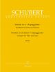 Sonata: A Minor Arpeggione: Flute   (Barenreiter)
