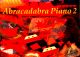 Abracadabra Piano: Book 2 (Jane Sebba) (Collins)
