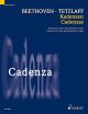 Cadenzas: Concerto: D Major: Violin (Schott)